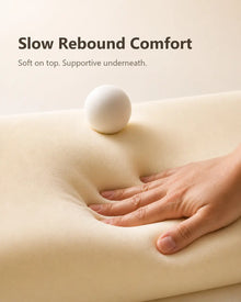 High-Loft Cervical Memory Foam Pillow for Big & Tall Side Sleepers